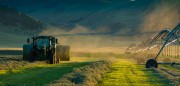Montana Baling