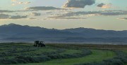 Montana Baling 2