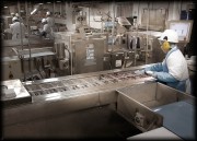 Workers in a food processing facility handling products on a conveyor belt.