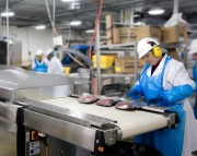 Worker in a processing facility handling meat packages on a conveyor belt while wearing protective gear.