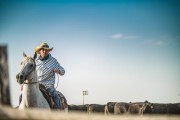 A cowboy wearing a hat and checkered shirt riding a gray horse in an open field.