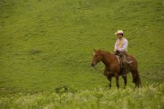 A cowboy wearing a hat and vest sitting on a brown horse in a green field.