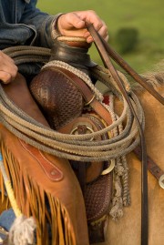 A cowboy\'s hand holding a rope on a saddle with intricate leatherwork and a horse\'s back visible.