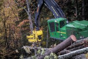 Green logging machine with a yellow cutting head engaged in tree felling in a forested area.