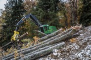 A forestry machine equipped with a yellow grapple working on fallen logs in a wooded area.