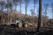 Heavy logging machinery operating in a forested area with bare trees and autumn foliage.