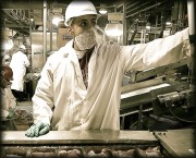 Meat packing plant worker