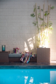 Interior pool detail 22