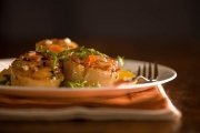 Moody Scallops