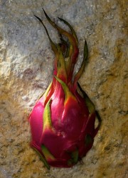 A whole dragon fruit with vibrant pink skin and green leaf-like scales on a textured surface.